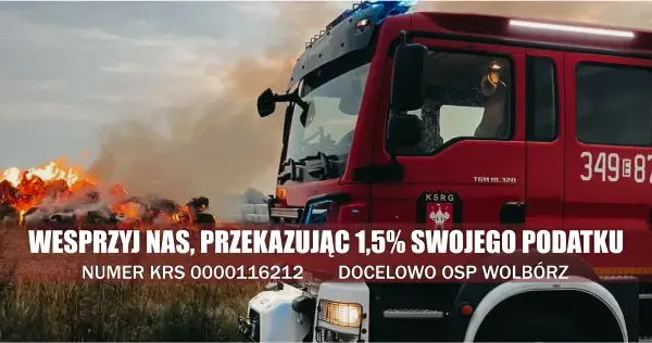Alarm w Wolborzu: usuwanie gniazda owadów błonkoskrzydłych