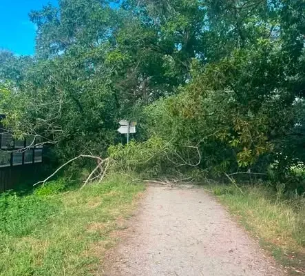 Drzewo na ścieżce rowerowej w Czarnocinie – interwencja OSP