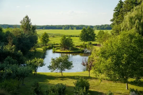 Gmina Sulejów sprzeda działkę w malowniczej okolicy Adelinowa i Klementynowa