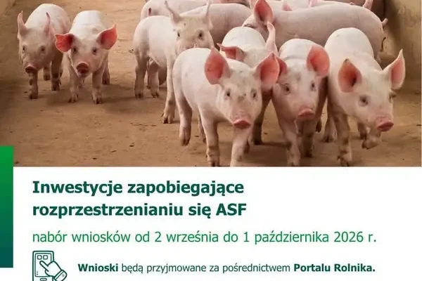 Nabór wniosków na zabezpieczenie gospodarstw przed ASF – do 100 tys. zł wsparcia