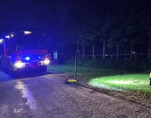 Dwa wyjazdy strażaków z OSP Czarnocin. Usuwali gniazda owadów