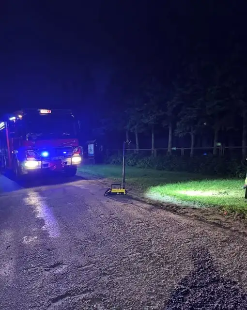 Dwa wyjazdy strażaków z OSP Czarnocin. Usuwali gniazda owadów