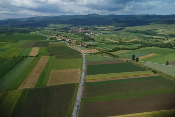 Gmina Wola Krzysztoporska ogłasza przetarg na dzierżawę gruntów rolnych w Jeżowie