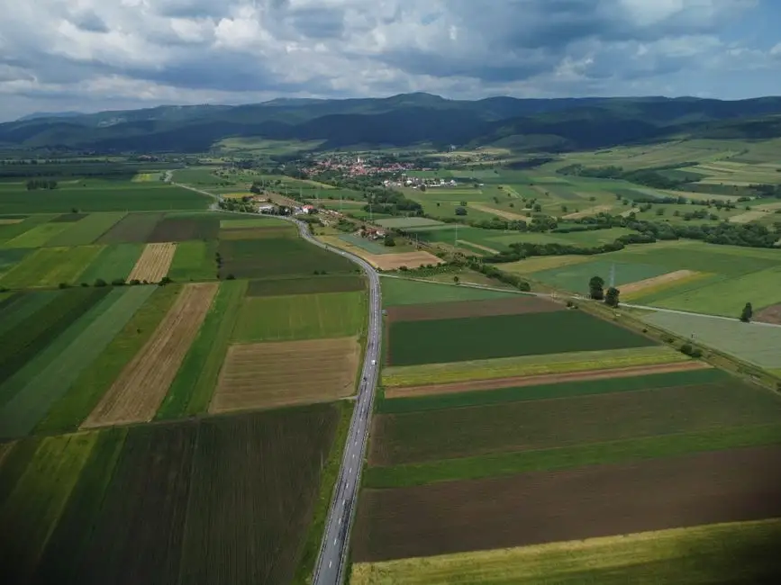 Gmina Wola Krzysztoporska ogłasza przetarg na dzierżawę gruntów rolnych w Jeżowie